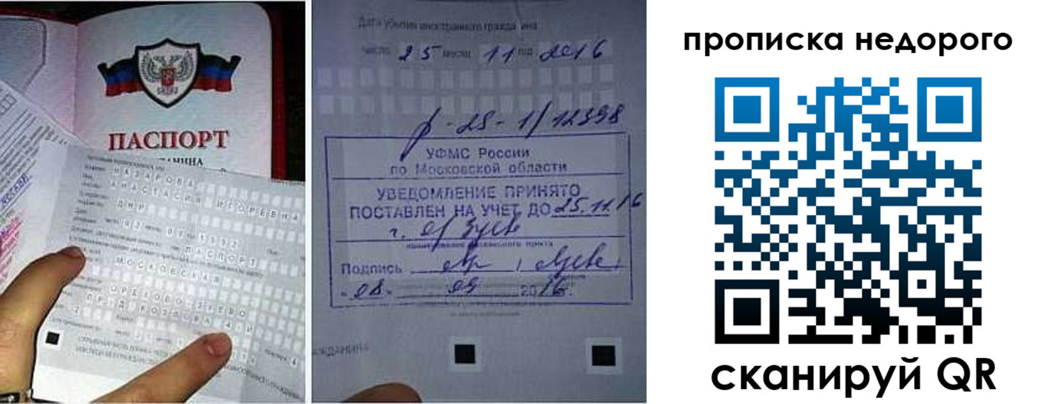 прописка от собственника в Шумихе